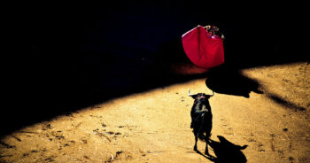 La tauromaquia en la época de la posverdad