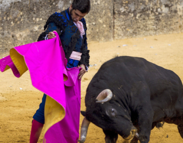 Morante se va . El genio de La Puebla anuncia su retirada, pero volverá por la puerta grande