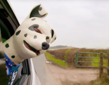 La transespecie y el deseo de lo que no se es