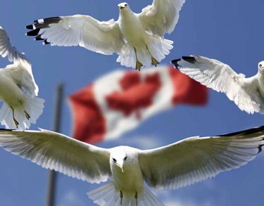 Canadá se abre a los inmigrantes por pragmatismo y solidaridad