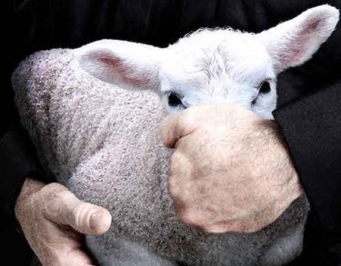 “Examen de conciencia”. El documental de Netflix que toma la parte por el todo