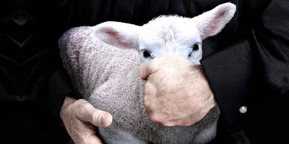 “Examen de conciencia”. El documental de Netflix que toma la parte por el todo