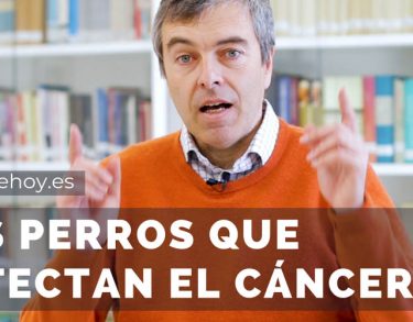 Los perros que detectan el cáncer