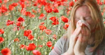 Alergia primaveral: consejos para un problema de narices