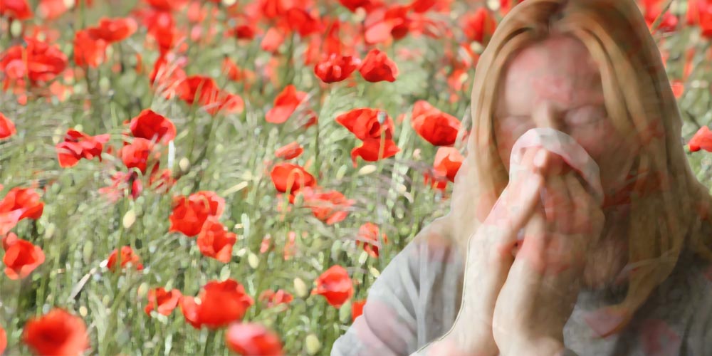 Alergia primaveral: consejos para un problema de narices