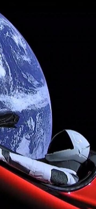 El largo periplo de la evolución. Desde la aparición de la vida hasta el Homo Sapiens