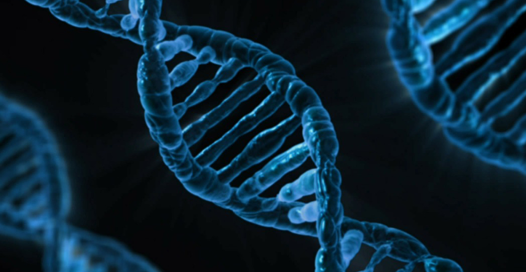 Ciencia y Universidades, las grandes olvidadas por los partidos ante el 28-A