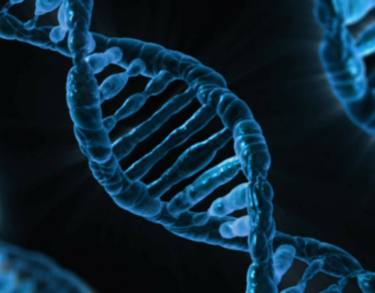 Ciencia y Universidades, las grandes olvidadas por los partidos ante el 28-A