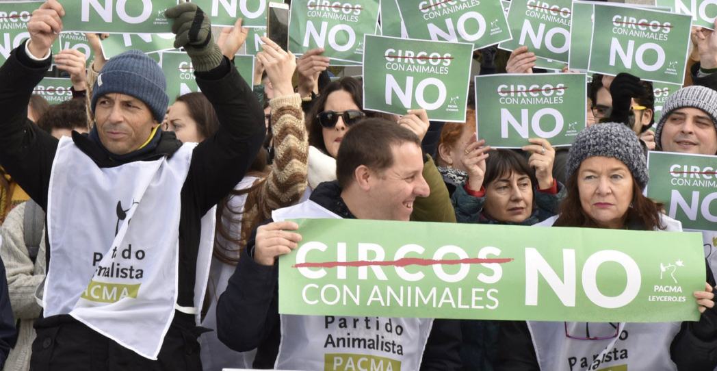 Entre el humanismo y el animalismo en las próximas elecciones