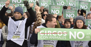 Entre el humanismo y el animalismo en las próximas elecciones