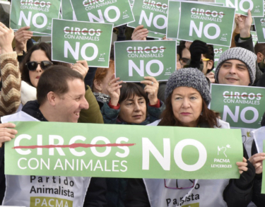 Entre el humanismo y el animalismo en las próximas elecciones