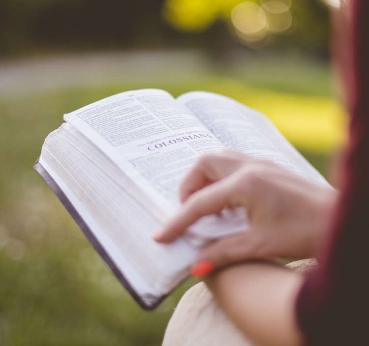 Libros recomendados para el verano 2019 (I)