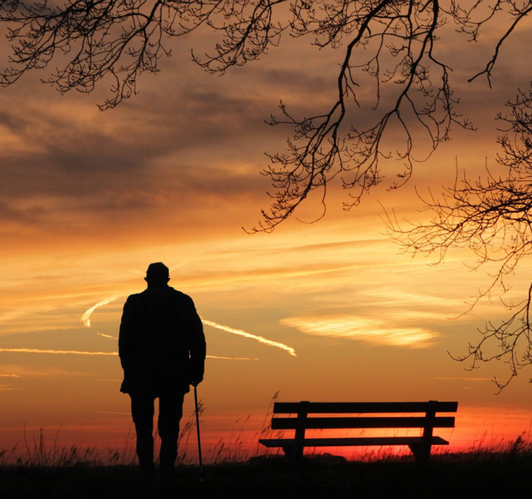 ¿Cuánto alargaremos la vida humana?