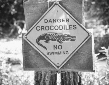 Su cautiverio es nuestra libertad