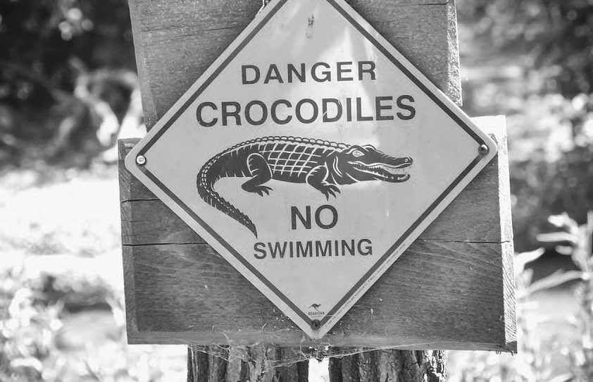 Su cautiverio es nuestra libertad