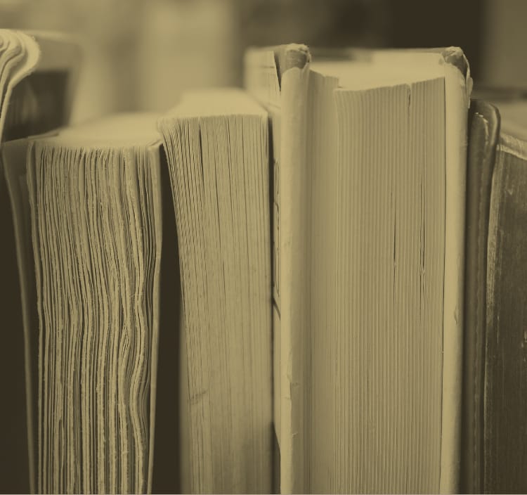 Libros recomendados para el verano 2019