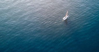 Navegar es necesario, vivir no