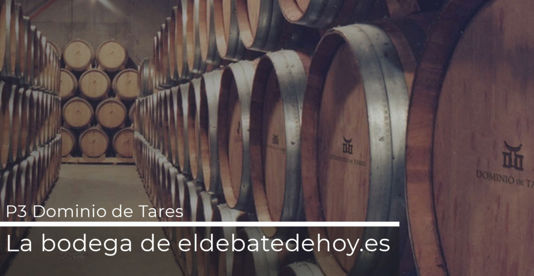 Viñedos centenarios del Bierzo hicieron posibles vinos adelantados a nuestro tiempo