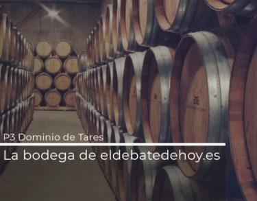 Viñedos centenarios del Bierzo hicieron posibles vinos adelantados a nuestro tiempo