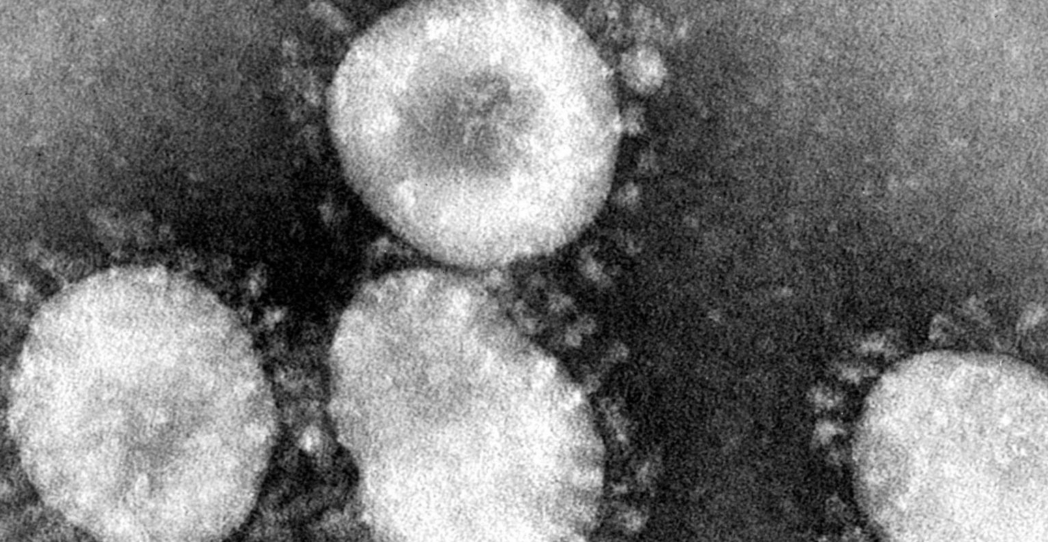 El coronavirus: una preocupación más que justificada