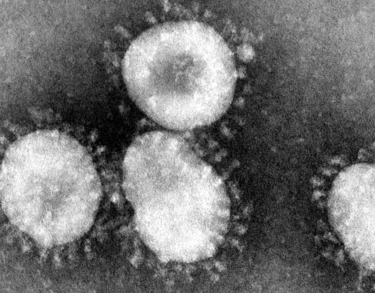 El coronavirus: una preocupación más que justificada