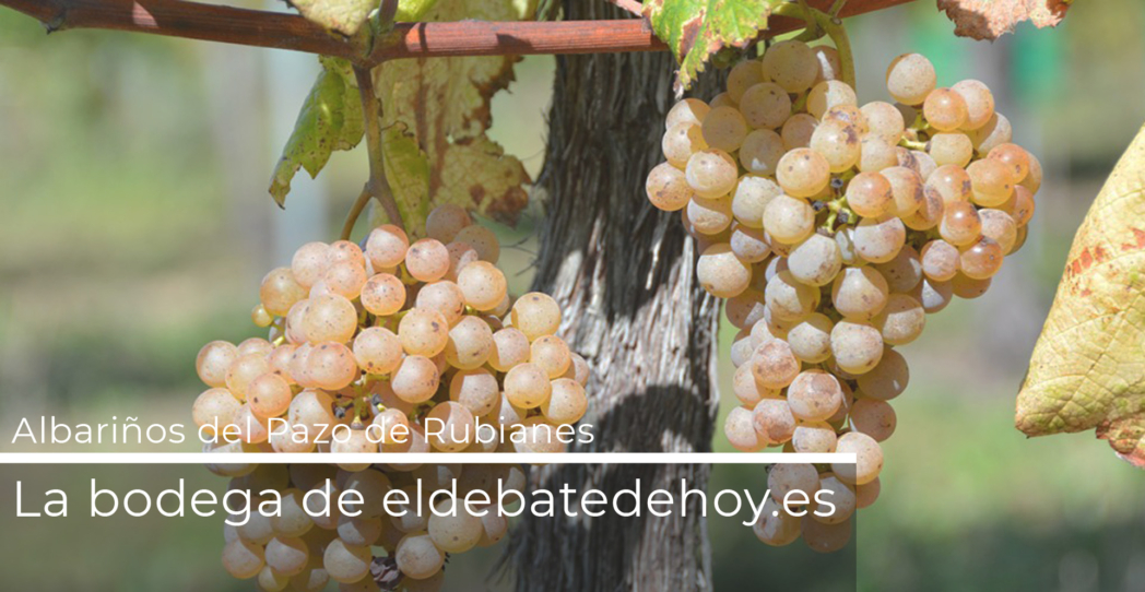 Pazo de Rubianes, el albariño nacido de la pasión por las camelias