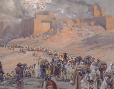 Creación, caída y coronavirus