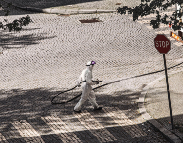 Coronavirus: curiosidades, esperanzas y una importante inquietud
