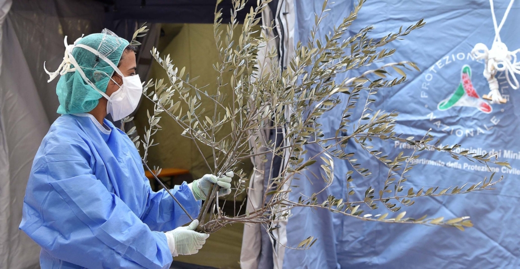 Educación católica: ¿de dónde han salido esos héroes de la bata?