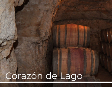 El corazón solidario del vino y su turismo