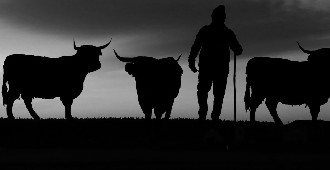 Filosofía de urgencias: vivir para contarlo