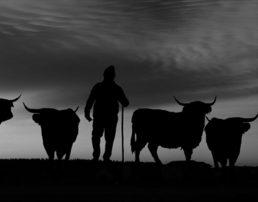 Filosofía de urgencias: vivir para contarlo