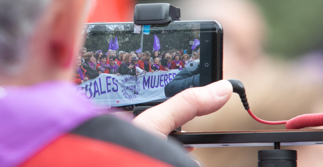 De palomas y palomos