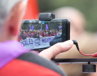 De palomas y palomos