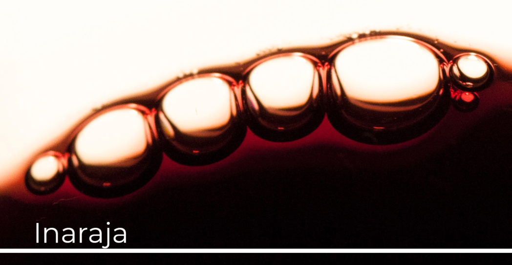 Inaraja, un regalo neogótico en el corazón de Toro