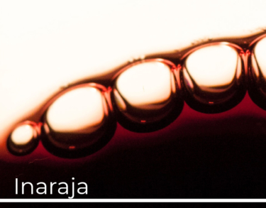 Inaraja, un regalo neogótico en el corazón de Toro