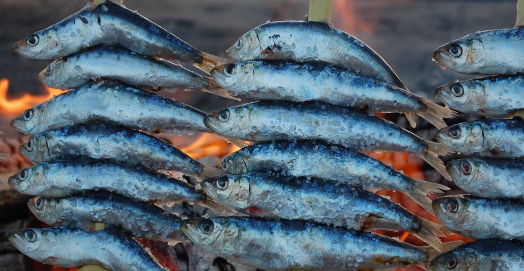 Este verano no dejes de comer pescado por miedo al mercurio