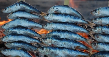 Este verano no dejes de comer pescado por miedo al mercurio
