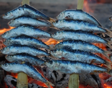 Este verano no dejes de comer pescado por miedo al mercurio