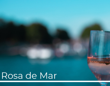 Una rosa en medio del mar de Formentera