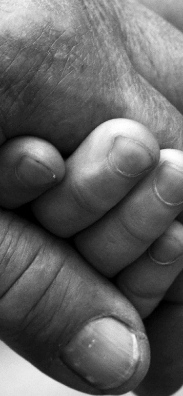 El largo periplo de la evolución. Desde la aparición de la vida hasta el Homo Sapiens