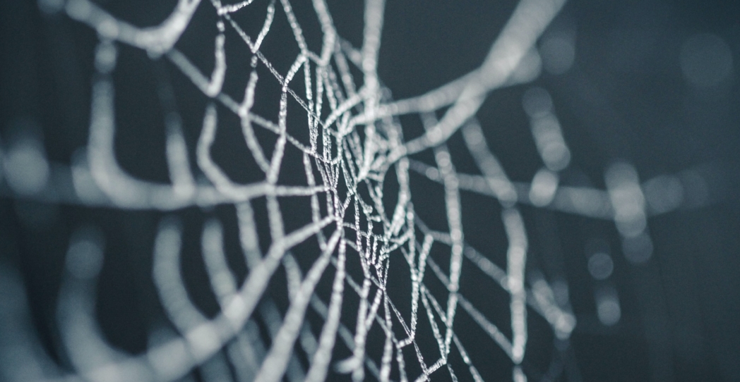 Telarañas de España y el género de la Transición