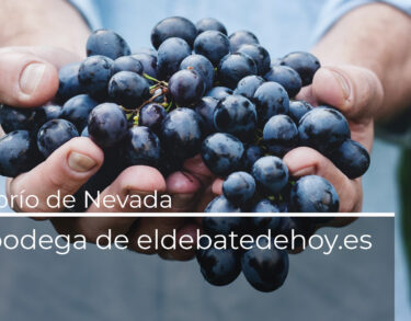 Un vino de señorío en el Convento de San Francisco