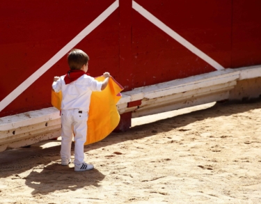 Apaolaza, el de los toros