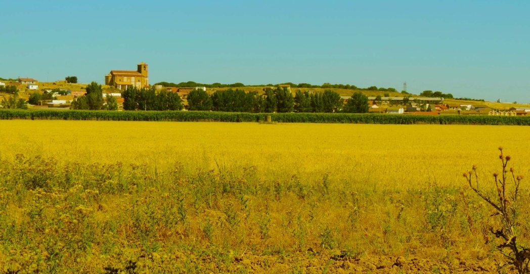 La Castilla de Delibes
