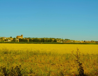 La Castilla de Delibes