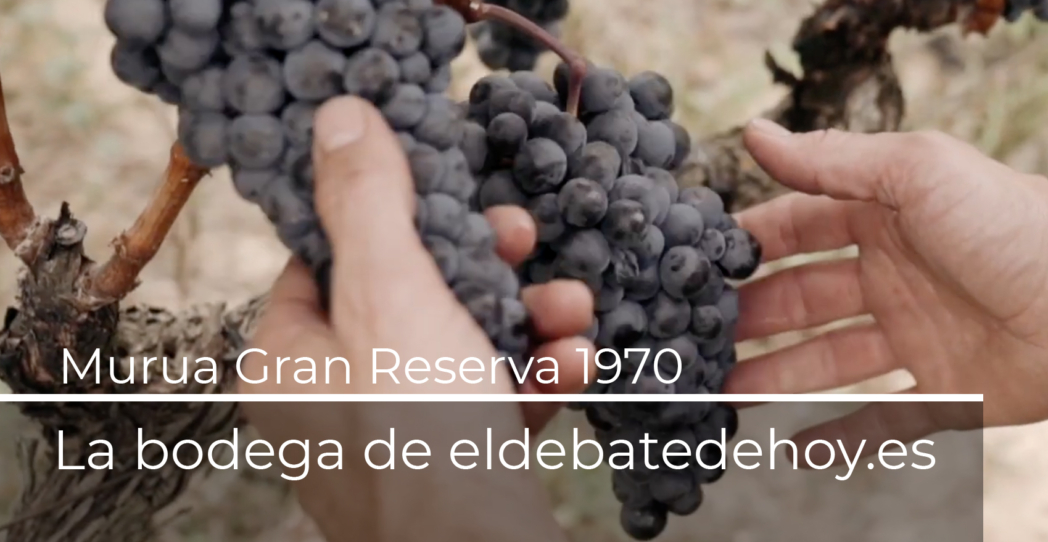 La recuperación de un tesoro vinícola de 1970