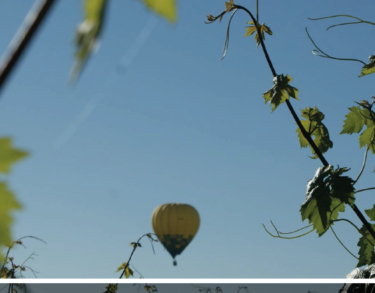 Día Mundial del Enoturismo, una experiencia cercana, de confianza y con seguridad