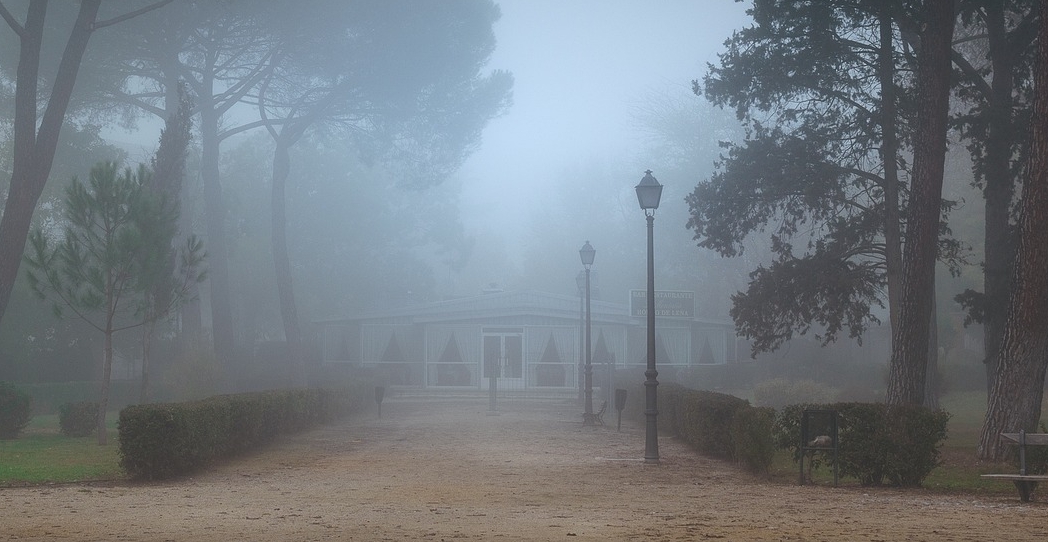 La ciudad como vocación