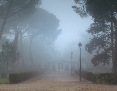 La ciudad como vocación